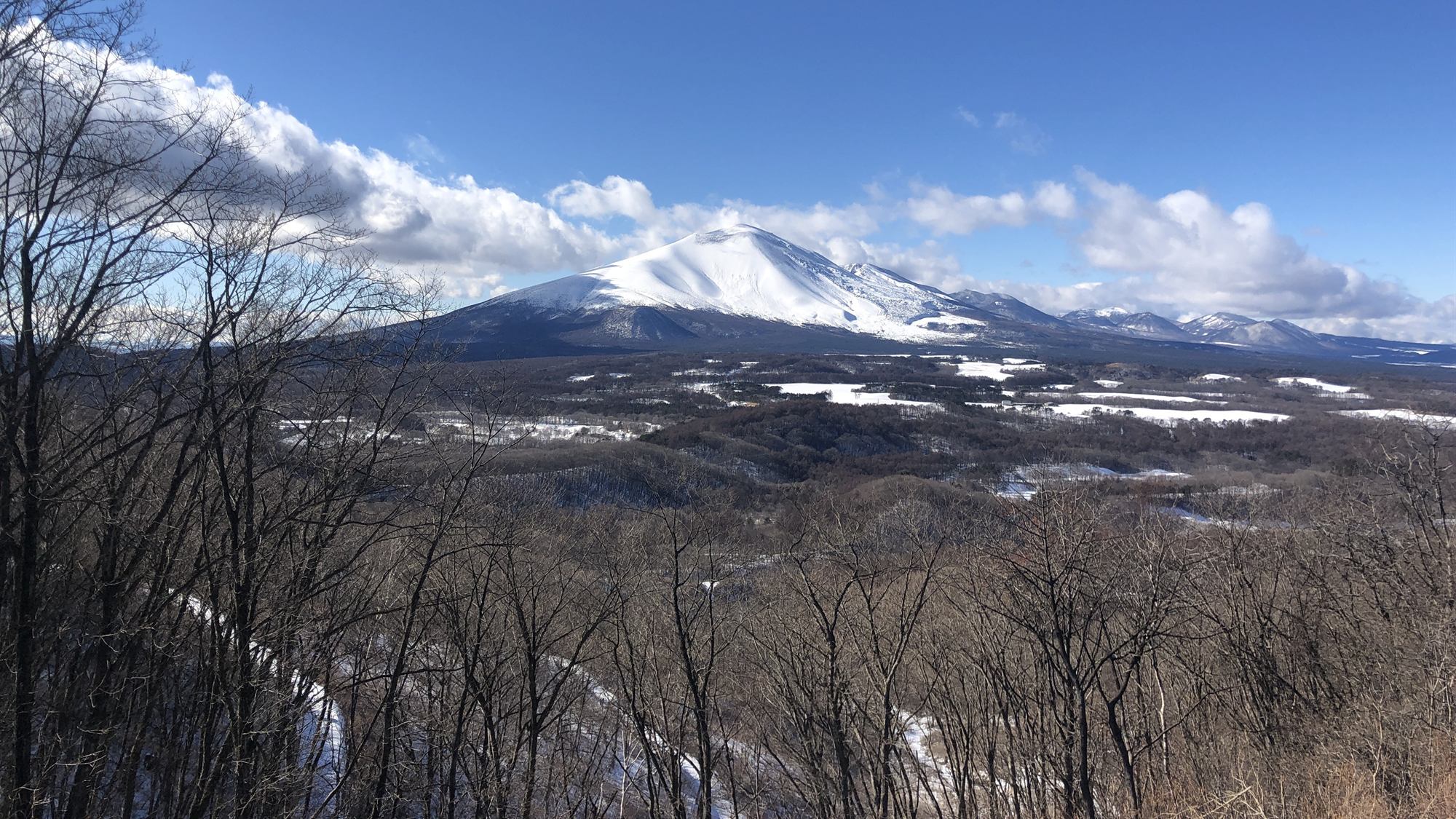 北軽井沢から望む浅間山と手前の森